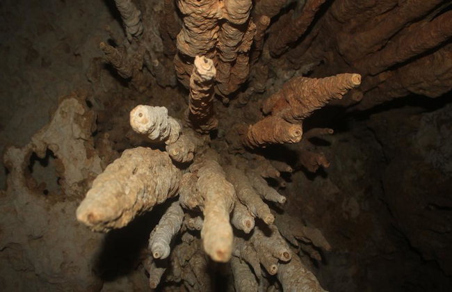 Explora 3 Cenotes: Subterraneo, Semiabierto y Abierto - Foto 4