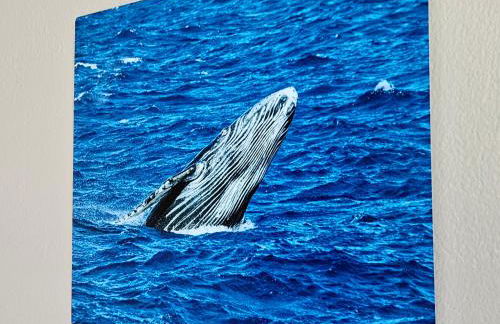 Yonegan Plumeria Hilo Hotel - Foto 15