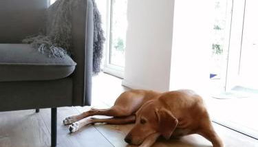 Ferienhaus BB2 - Foto 5