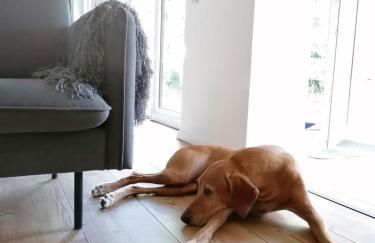 Ferienhaus BB2 - Foto 5