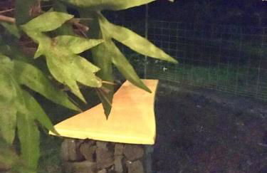 The Red Cottage and Hawaiian Pond Garden Paradise! - Foto 32