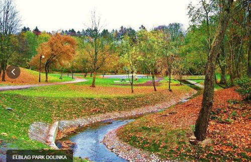 Gael Stary Rynek 1 - Foto 30
