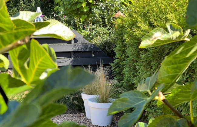 Modern Holiday Home in the Dunes - Photo 30