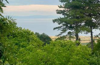 Koti Mountain House - Photo 7