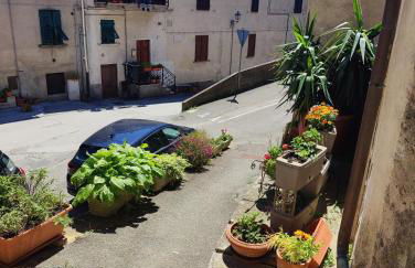 Sassolina house bike - Foto 10