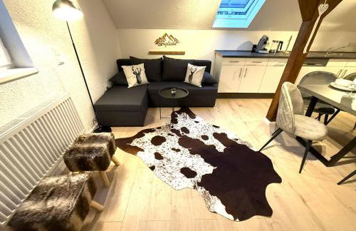 Natur-Apartment am Großen Arber Netflix WIFI - Foto 44