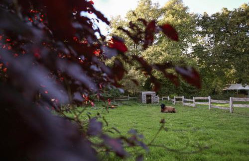Sleep Space 3 - Green&Tiny Spot Rehburg Schafweide - Photo 38