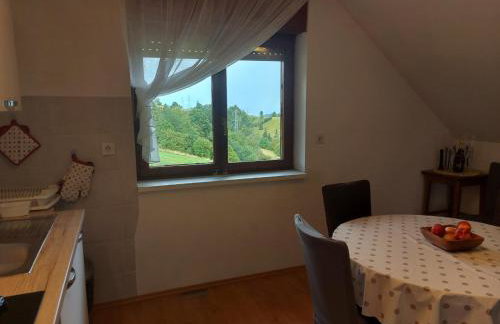Apartman Skender 3* Ravna Gora - Foto 54