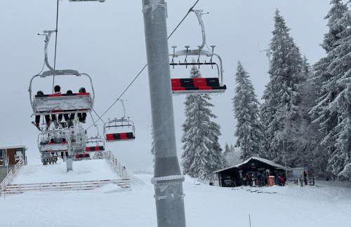 Aotearoa - Mountain apartment in Bavaria, Mitterdorf - Mitterfirmiansreut - Foto 30