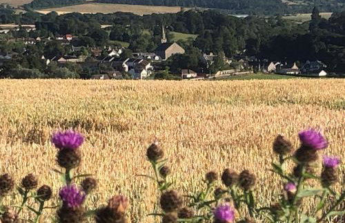 Meldrums Apartments - Photo 54