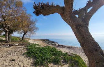 Grande Bilocale con giardino - Foto 25