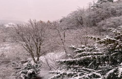 Delightful Holiday Home in Battenberg Near Forest - Foto 52