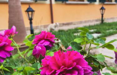 Agriturismo Villa Tadina - Foto 8