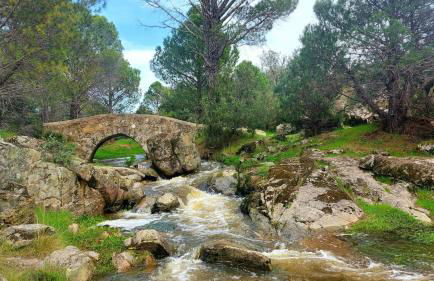 Casa Ypsilon Olive Oil - Photo 13