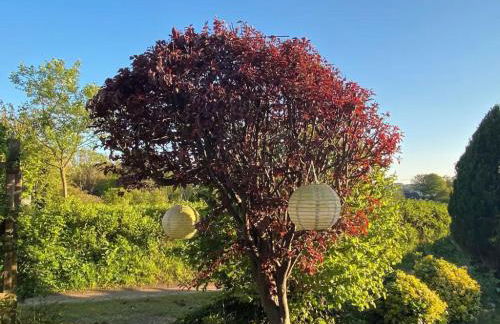 Tiny Haus an der Schlei - Foto 23