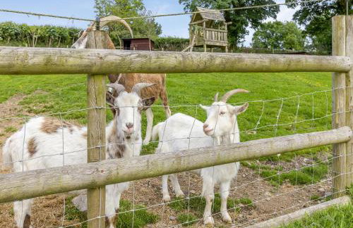 The Farmers Den - Foto 19