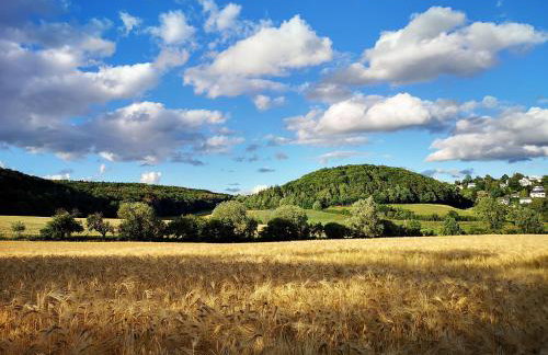 Ferienhaus Landhaus Am Hirtzborn - Foto 73