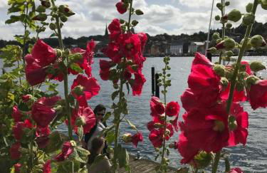 Weitblick - mit Strandkorb, mehr Meer geht nicht - Foto 19