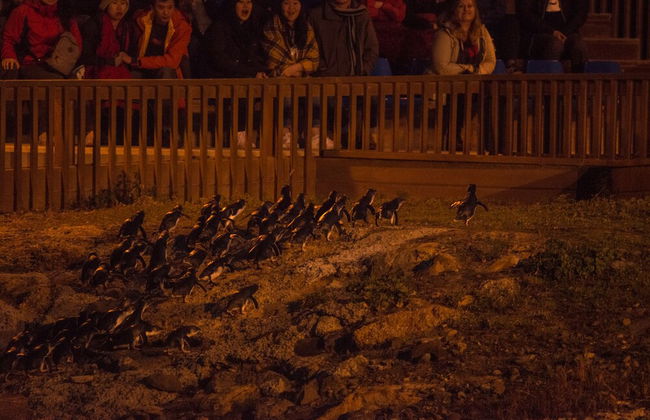 Sunny & Quiet in Blyth with unlimited fibre WIFI - Foto 17