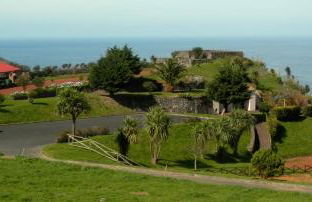 Green Sunrise House - Photo 58