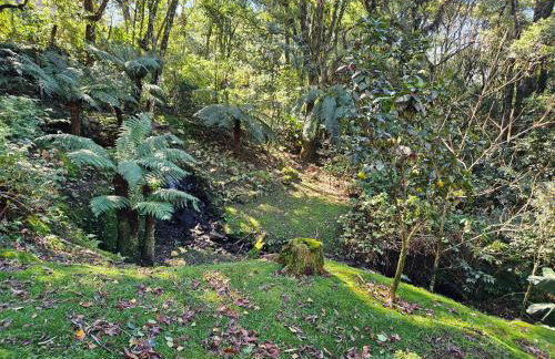 Cantinho das Oliveiras. - Foto 27