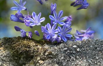 6-bed Cottage Sleeps 12 With Gardens - Foto 57