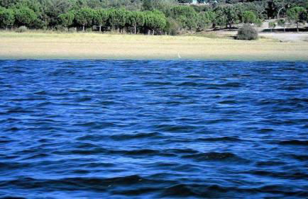 Monte da Tojeirinha - Foto 36