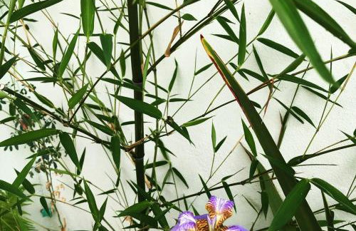 Loft 2 Conforto ao lado do Centro Histórico - Foto 34