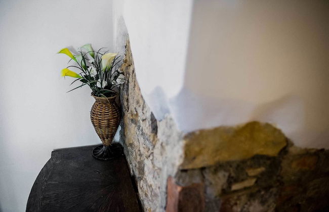 Agriturismo Palazzo Conti A - Foto 41