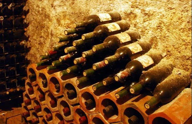 Visita a las bodegas Alfredo Santamaría - Foto 2