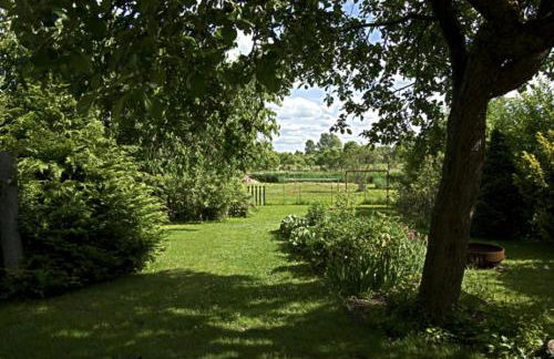 Ferienhaus am Schilfgürtel - Foto 4