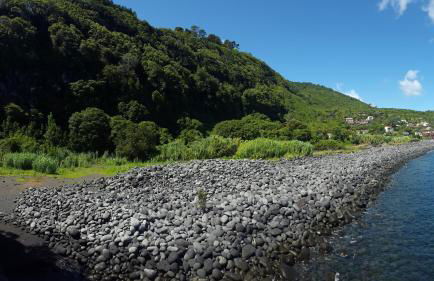 Adega dos Terceira - Photo 2