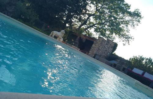 Les Gites du Mont Ventoux - Foto 41