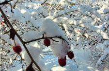 Kolej na sudety - Foto 40