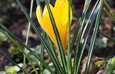 Station Lodge South - Foto 32