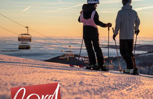 Ferienwohnung Passhöhe - Familien- Wander- und Skiurlaub - Hochschwarzwaldcard - Haus Wiesenquelle - Photo 27