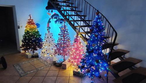 Der Märchenhof Dithmarschen - Photo 5