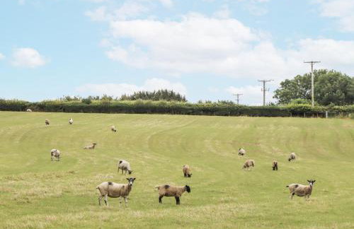 Aunty Junes Cottage - Foto 42