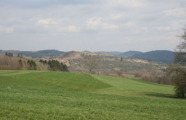 Detached Bungalow With Dishwasher, in a Green Area - Foto 56