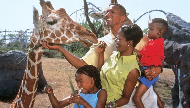 Busch Gardens Serengeti Safari Tour - Foto 4