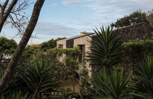 Quinta dos Peixes Falantes - Foto 73