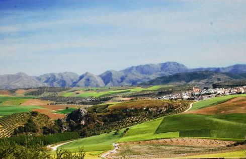 Apartamentos Turisticos Cortijo Garces - Photo 12