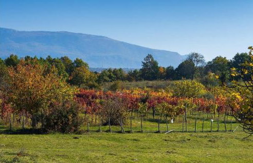 Villa Mendula - Foto 53