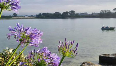 Kelerdut Plage - Foto 4