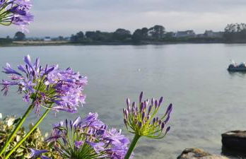 Kelerdut Plage - Foto 4