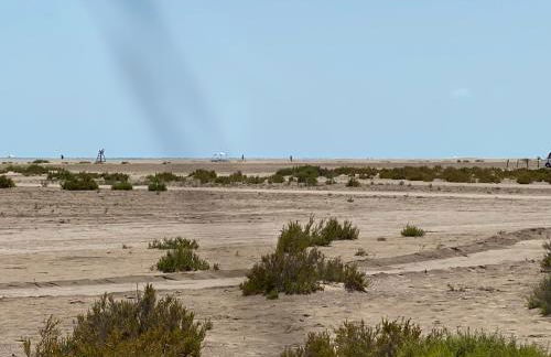 La Calma del Delta - Foto 27