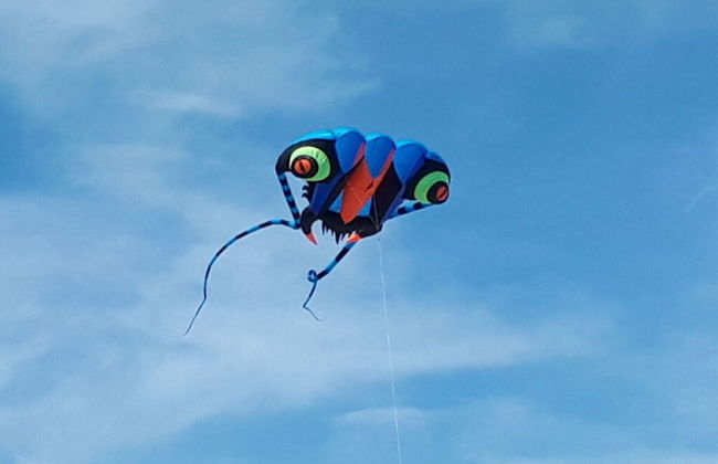 Oostzeevakantie-bork - Foto 17