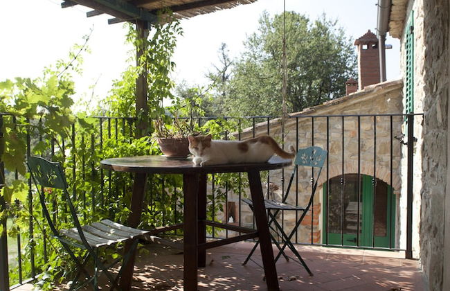 Antico Silbule - Photo 20