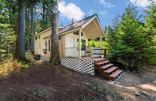 New Tiny Home Steps Away From Mt. Rainier - Foto 3