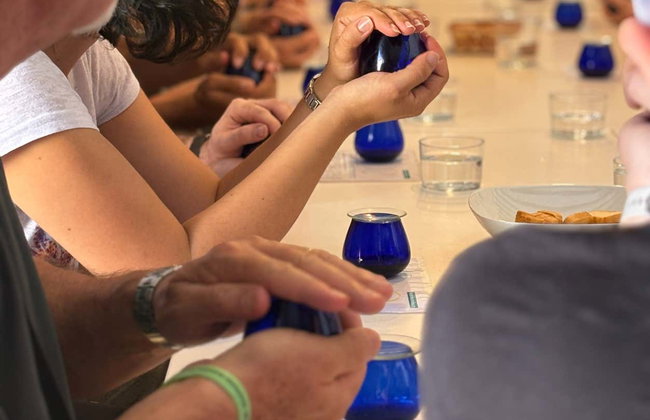 Visita a um olival e a um lagar + Degustação de azeite e conservas - Foto 9